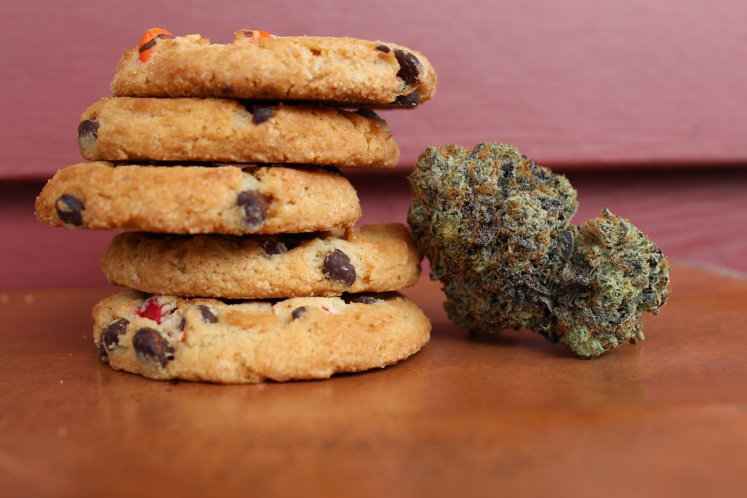 Edible Expectations – When Will Your Cannabis Snack Kick In?