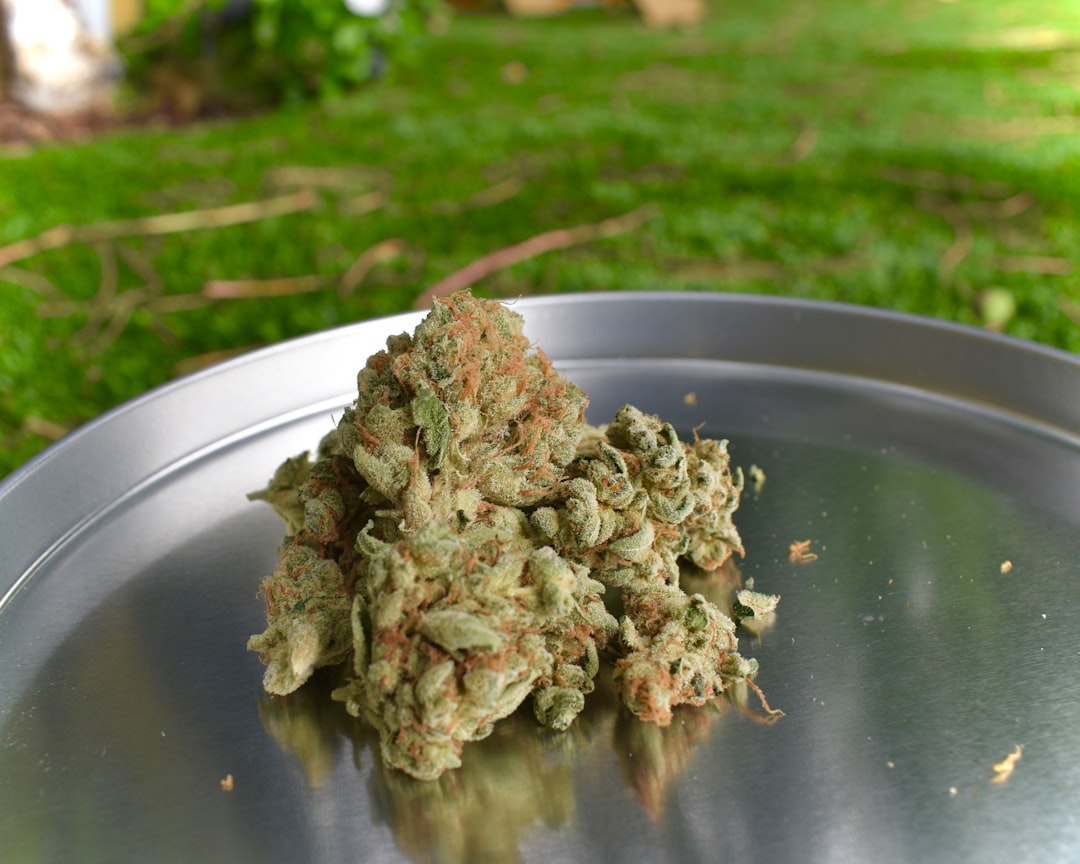 An Essential Guide to Cannabis for Anxiety