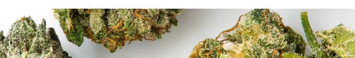 Delta-8 THC offers a milder high with mood-enhancing effects. - Delta 8 THC benefits