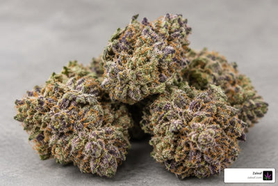 Find Your Sweet Spot Between Relaxing and Energizing Terpenes