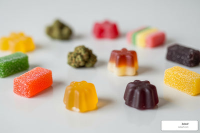 Navigating the Gummy Galaxy: A First-Timer's Guide to THC Edibles