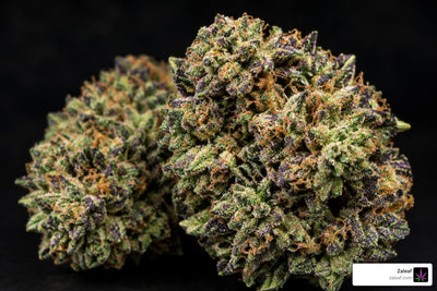 High Potency Flower Explained from Cannabinoid Profiles to Effects