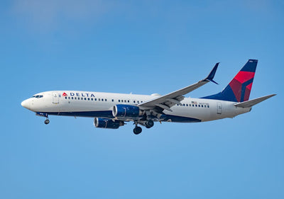 Don't Get Grounded: The Rules for Traveling With Delta 8