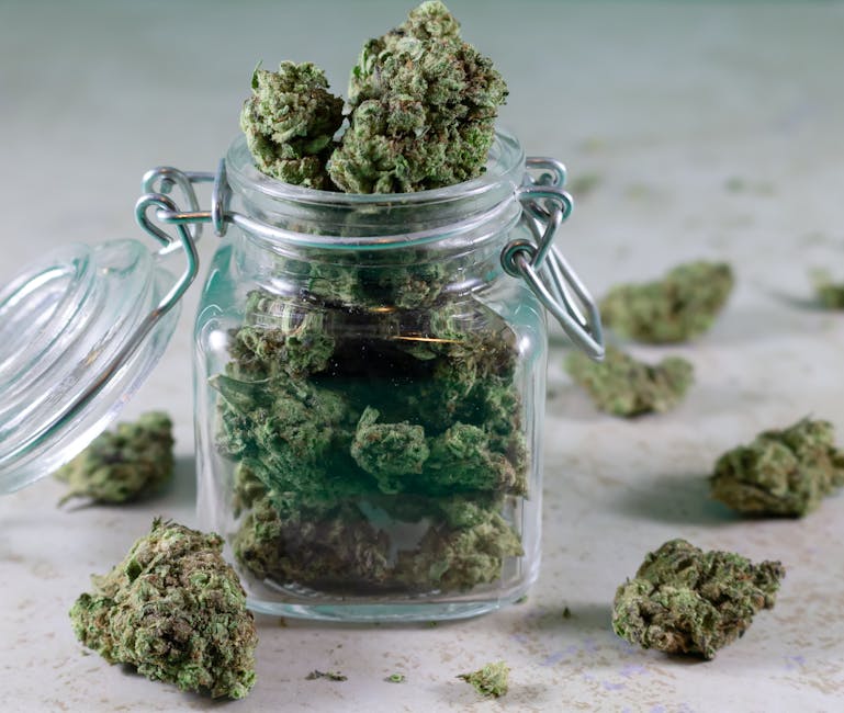 Elevate Your Everyday: Cannabis for Holistic Wellness