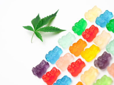 From Plant to Plate: Crafting Cannabis Edibles