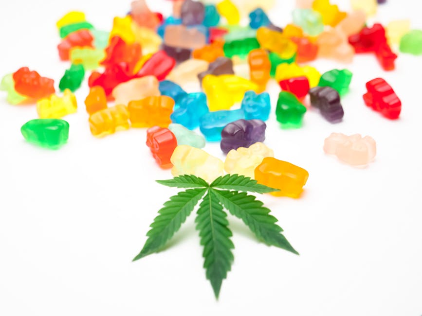 Sweet Dreams: A Guide to Cannabis Edibles for Sleep