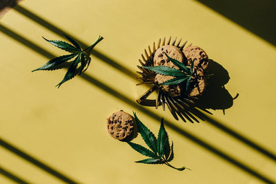Pumping Up or Pumping Down? The Truth About Edibles and Your Heart