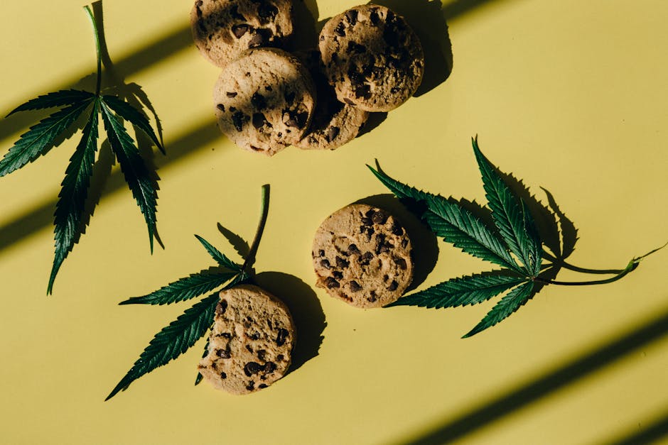 Elevate Your Snack Game: Cannabis-Infused Delights