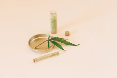 Cultivating Success: Your Guide to the Best Cannabis Growing Supplements