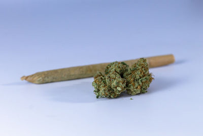 Don't Panic, Just Roll: Best Pre-Rolls for Relaxation and Anxiety Relief