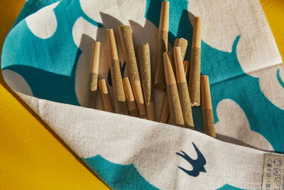 Infused Pre-Rolls 101: Elevate Your Smoking Experience