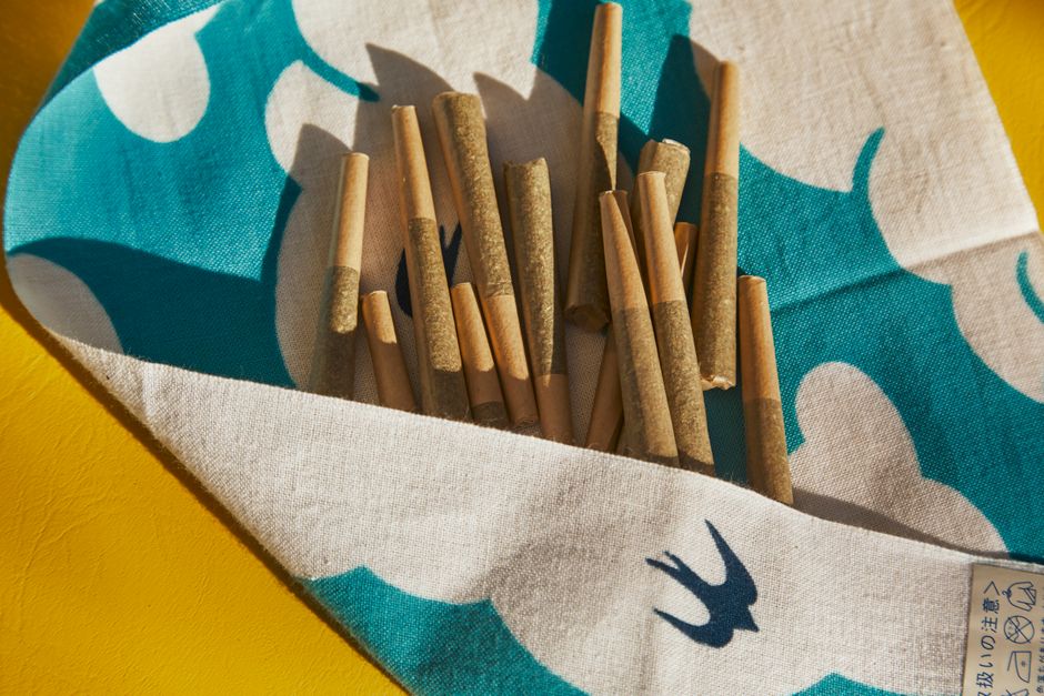 Infused Pre-Rolls 101: Elevate Your Smoking Experience