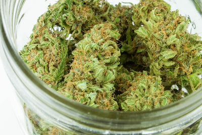 Your Green Light to Great Buds: Where to Buy Cannabis Flower Online