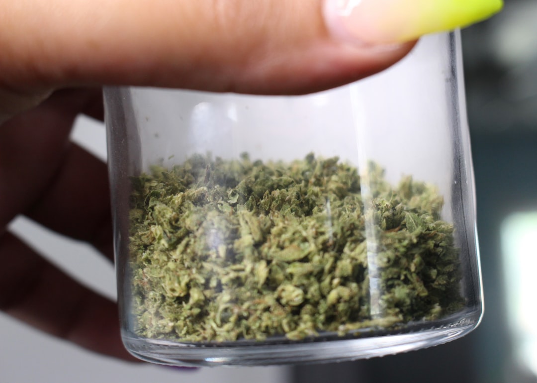 High Standards: Top-Rated Weed Pipes for Every Smoker