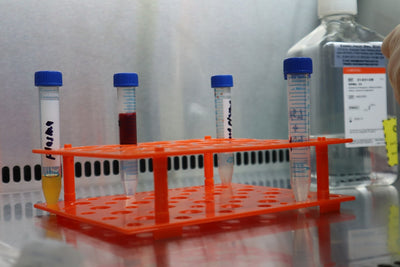 Beyond the Label: The Essential Guide to Third-Party Lab Testing