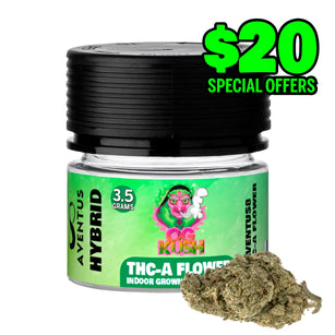 AVENTUS8 THC-A Flower OG KUSH  3.5g - Hybrid