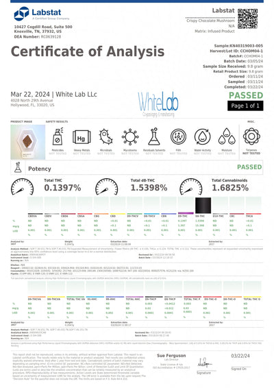 Rice Crispy Chocolate Treats Mushroom THC-A + THC-P 10,000mg