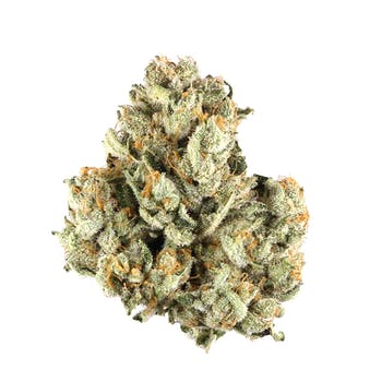 3.5g THC-A Pink Rozay Hybrid