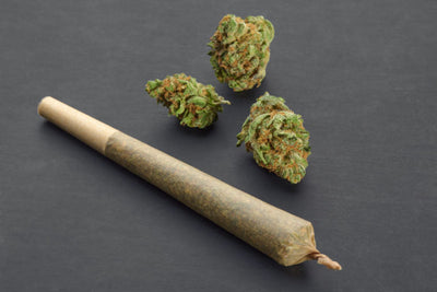 THC-A 2 Gram Pre-Roll Purple Haze