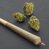 THC-A 2 Gram Pre-Roll GORILLA GLUE