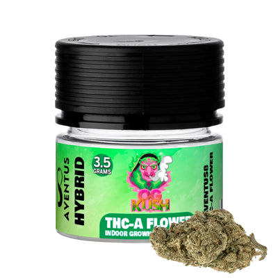AVENTUS8 THC-A Flower OG KUSH  3.5g - Hybrid