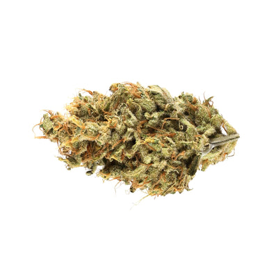 AVENTUS8 THC-A FLOWER Black Jack 3.5g - Hybrid