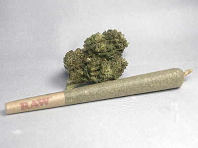 THC-A 2 Gram Pre-Roll GORILLA GLUE